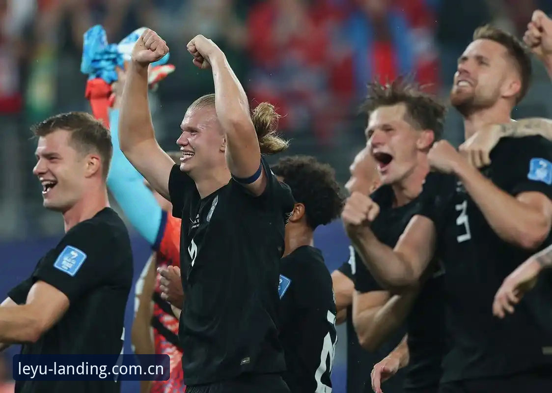 乐鱼电竞赛程表2026手机版 世界杯赛场上的半小时戏剧:挪威1-0塞内加尔的深度解析